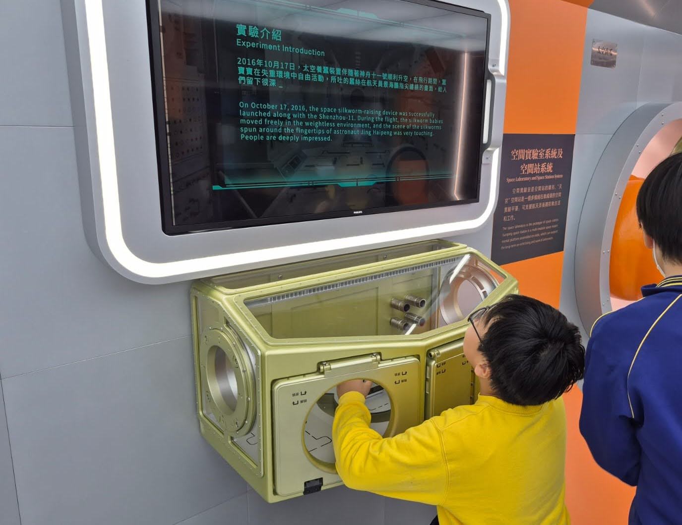 WhatsApp Image 2025-02-19 at 16.52.42.jpeg