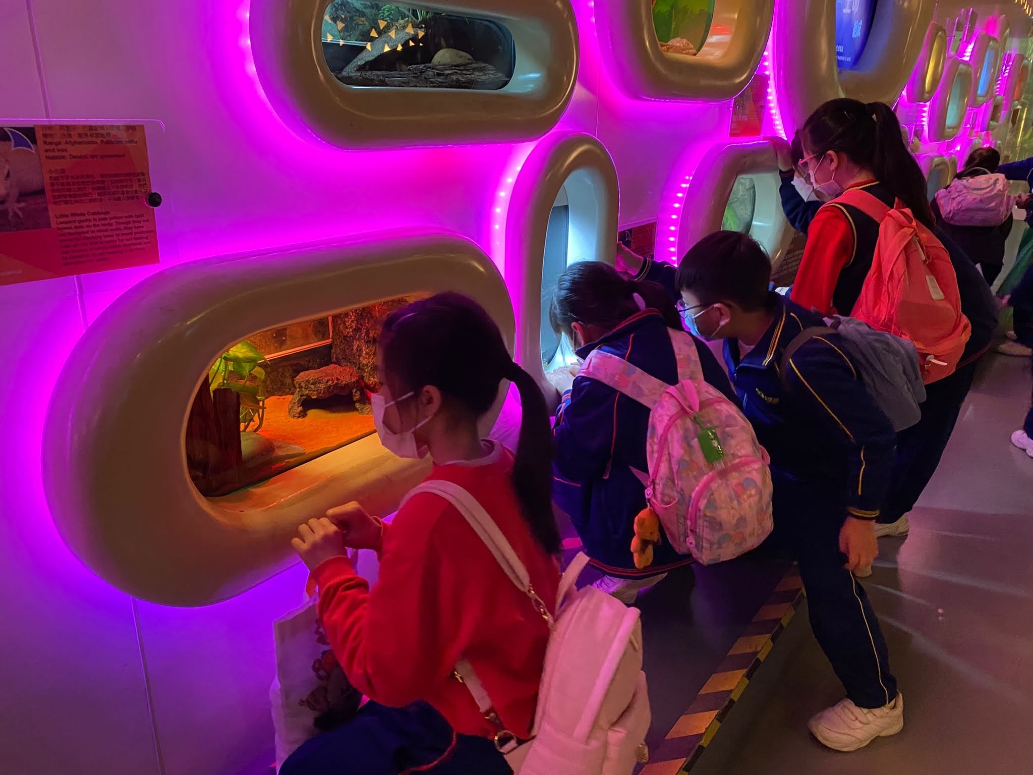 WhatsApp Image 2023-01-12 at 14.49.19.jpeg