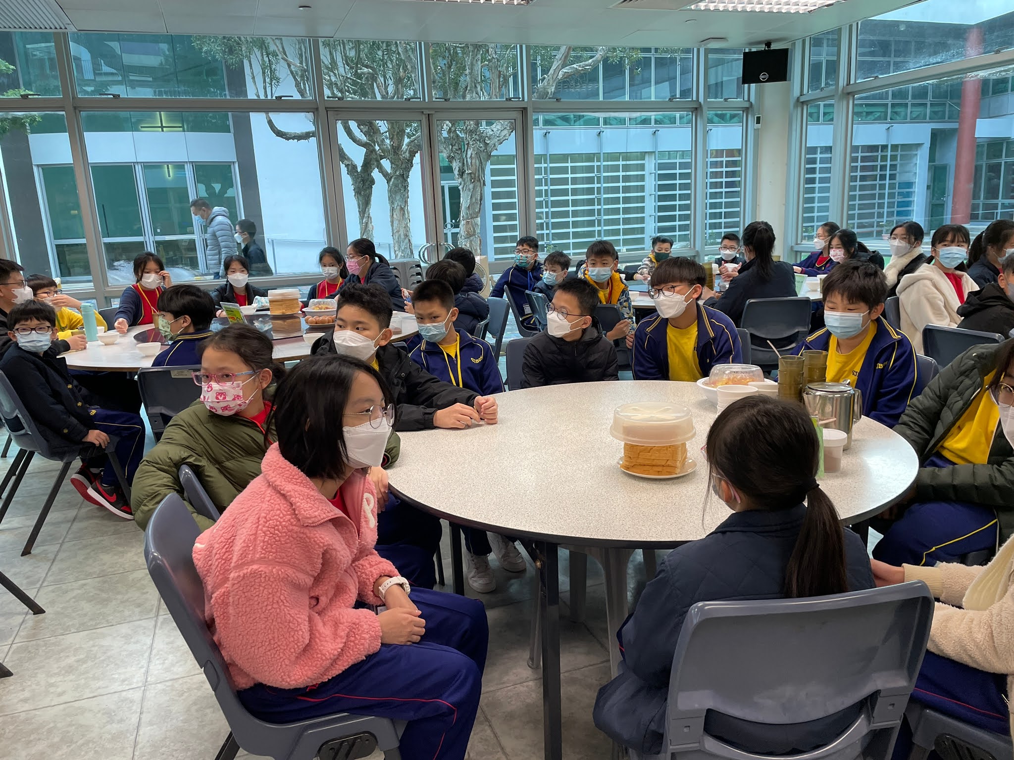 WhatsApp Image 2023-01-18 at 08.08.02.jpeg