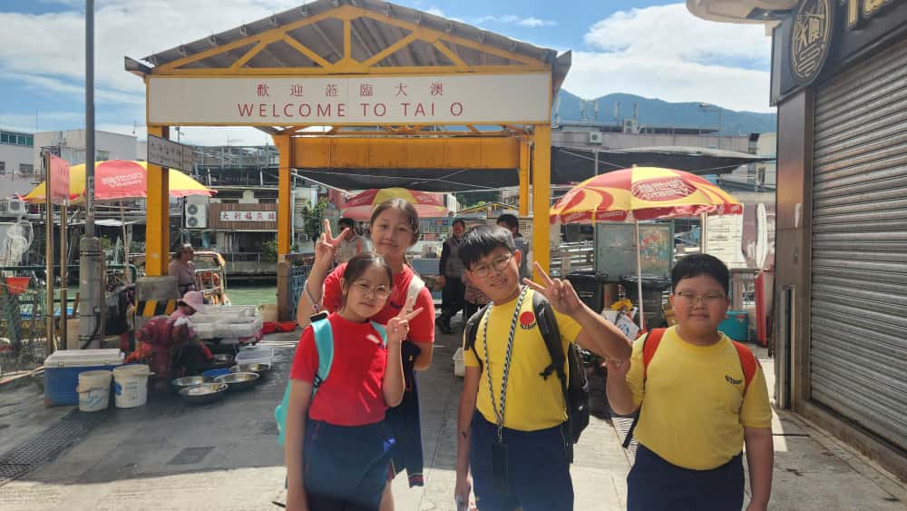 WhatsApp Image 2025-10-28 at 10.51.53.jpeg