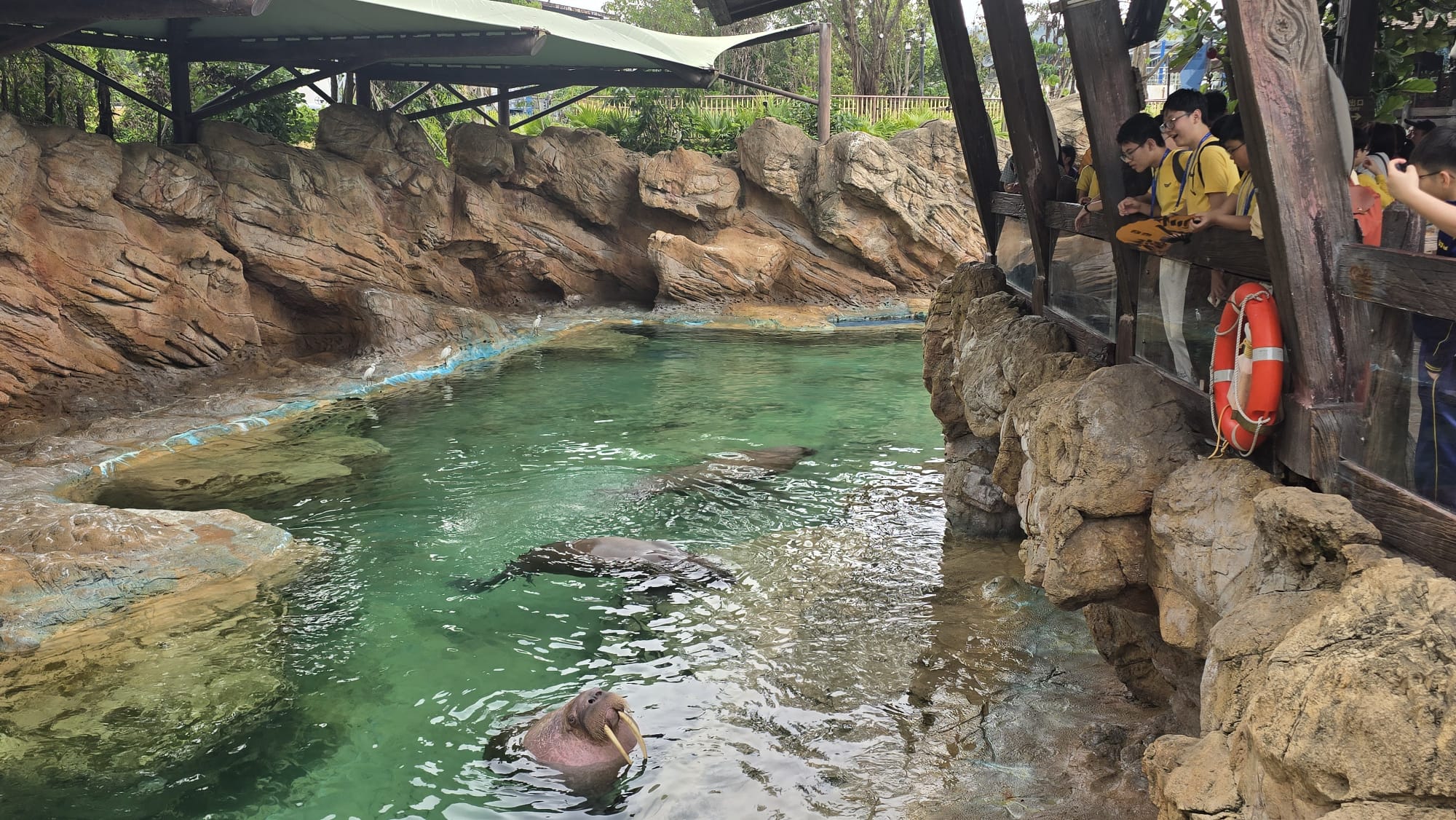 WhatsApp Image 2026-04-01 at 10.47.33 AM (2).jpeg