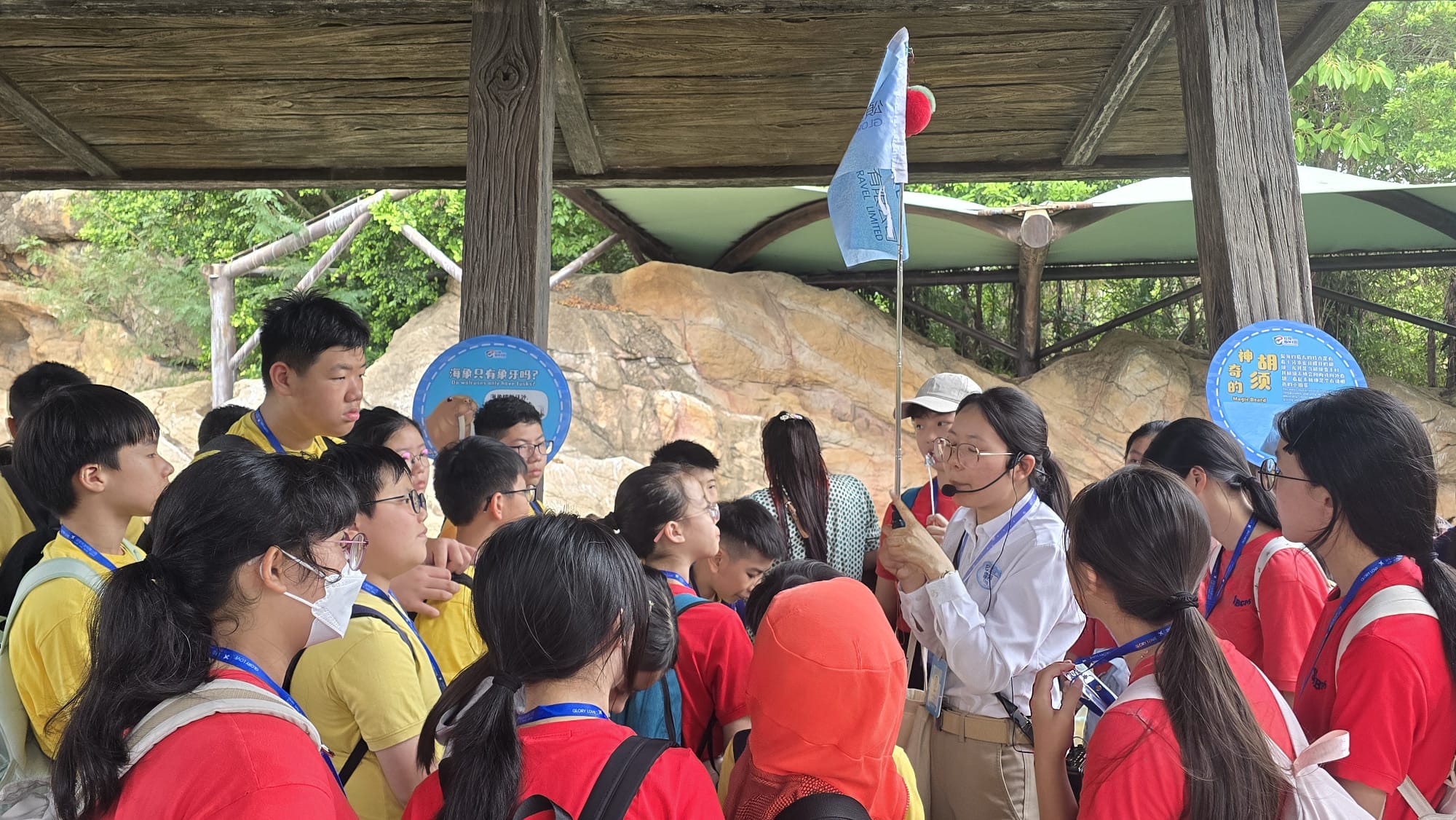 WhatsApp Image 2026-04-01 at 10.47.33 AM (3).jpeg