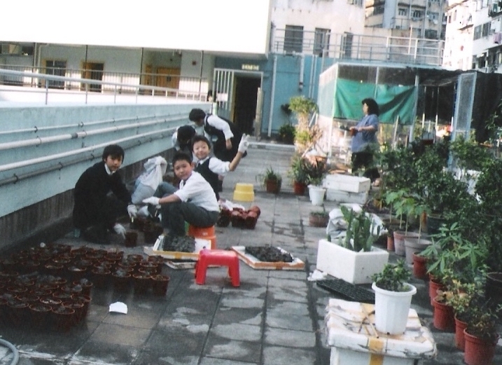 同學義助入花苗